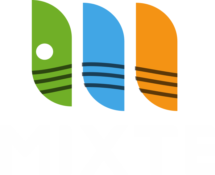 Logo Mixte